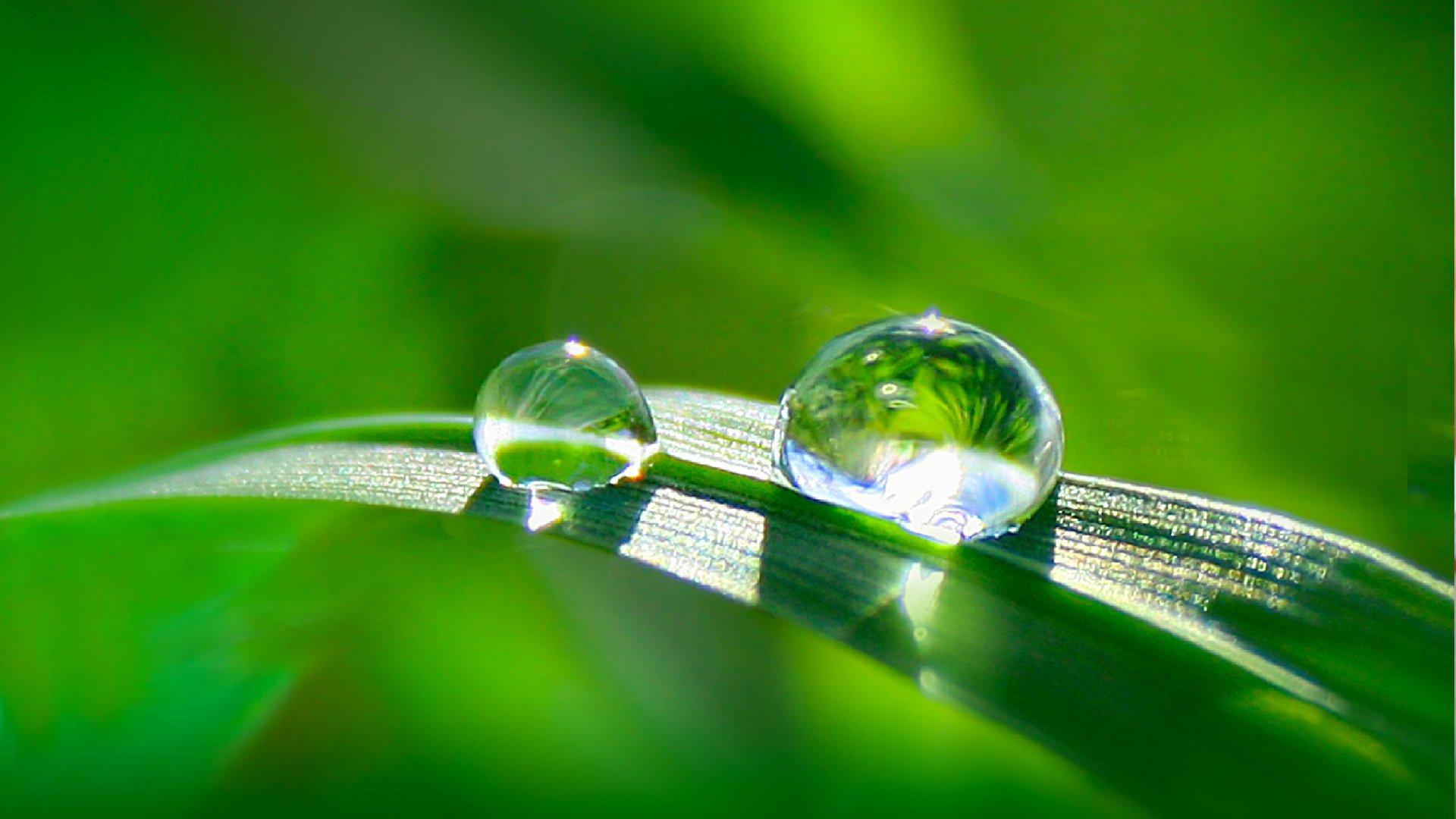 H20: The Molecule That Made Us