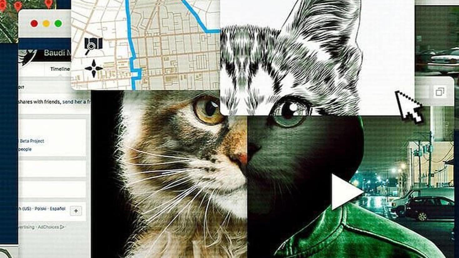 Don’t F**k with Cats: Hunting an Internet Killer