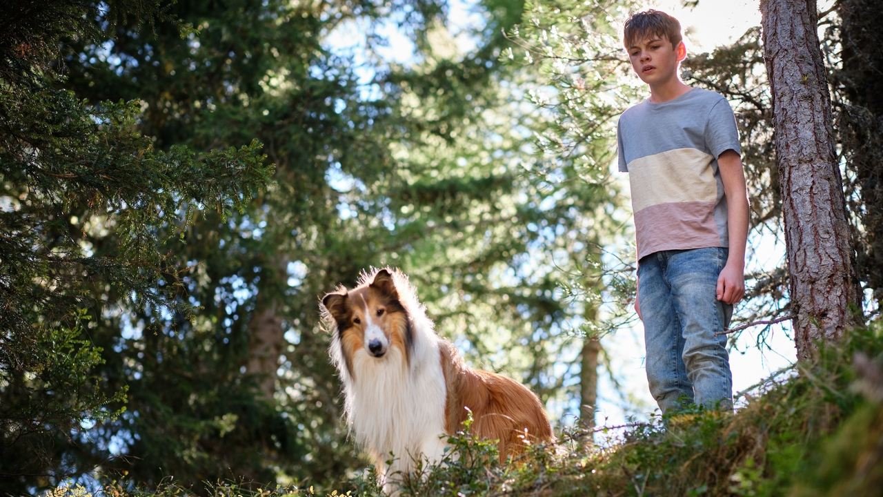 Lassie - A New Adventure