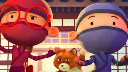 Hello Ninja