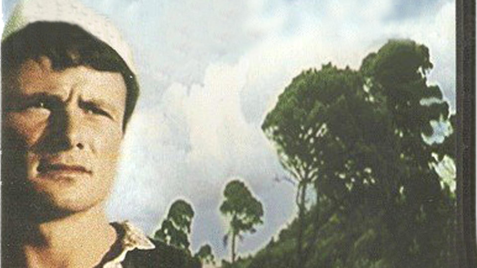 Pylli i lirisë