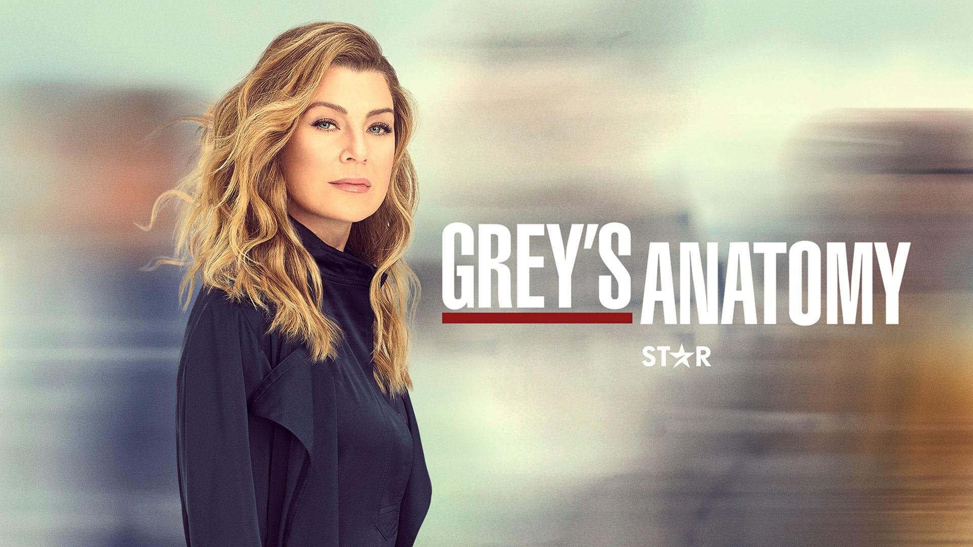 S11E22 - Anatomia e Greit