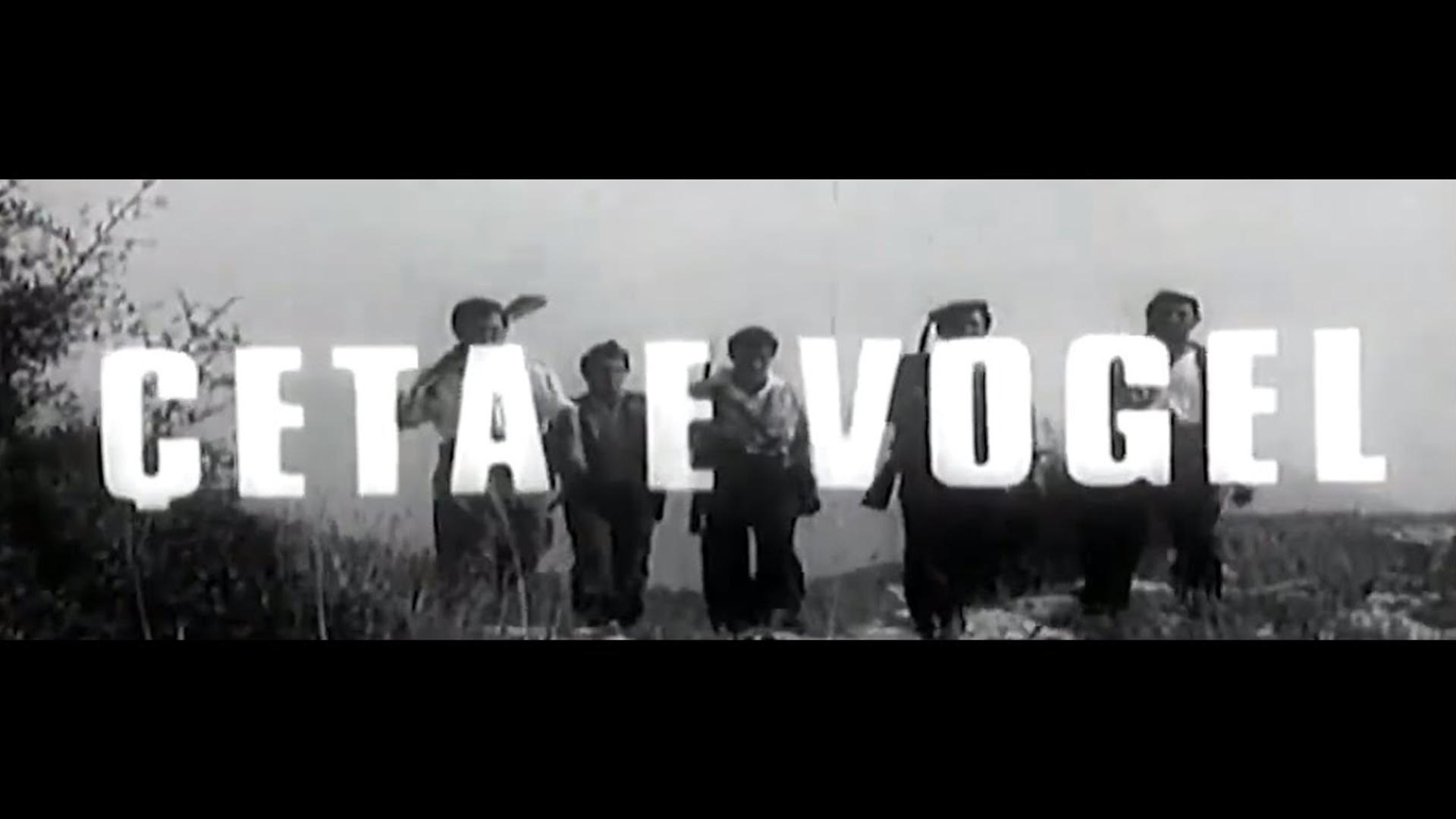 Çeta e vogël