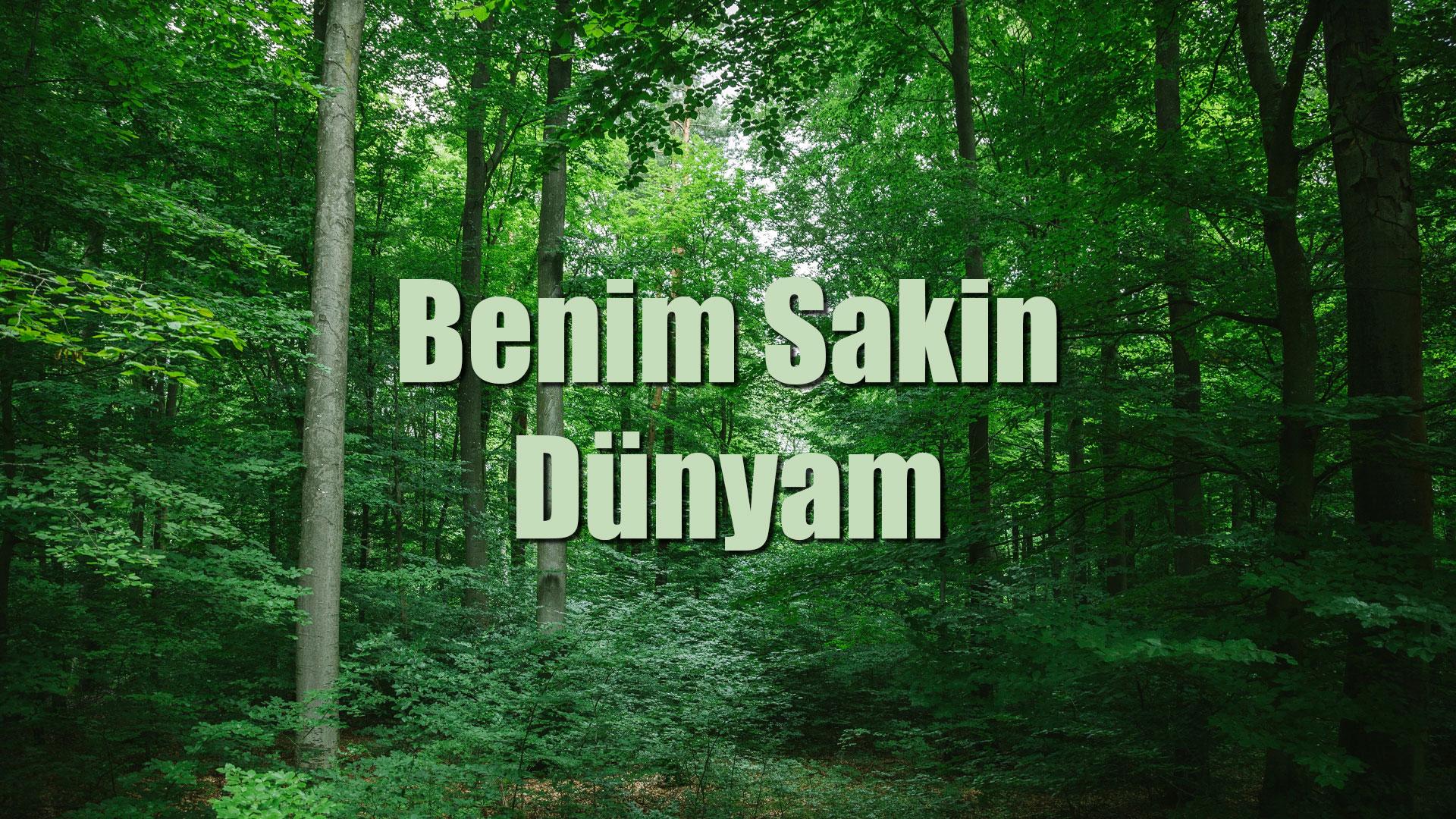 Benim Sakin Dünyam