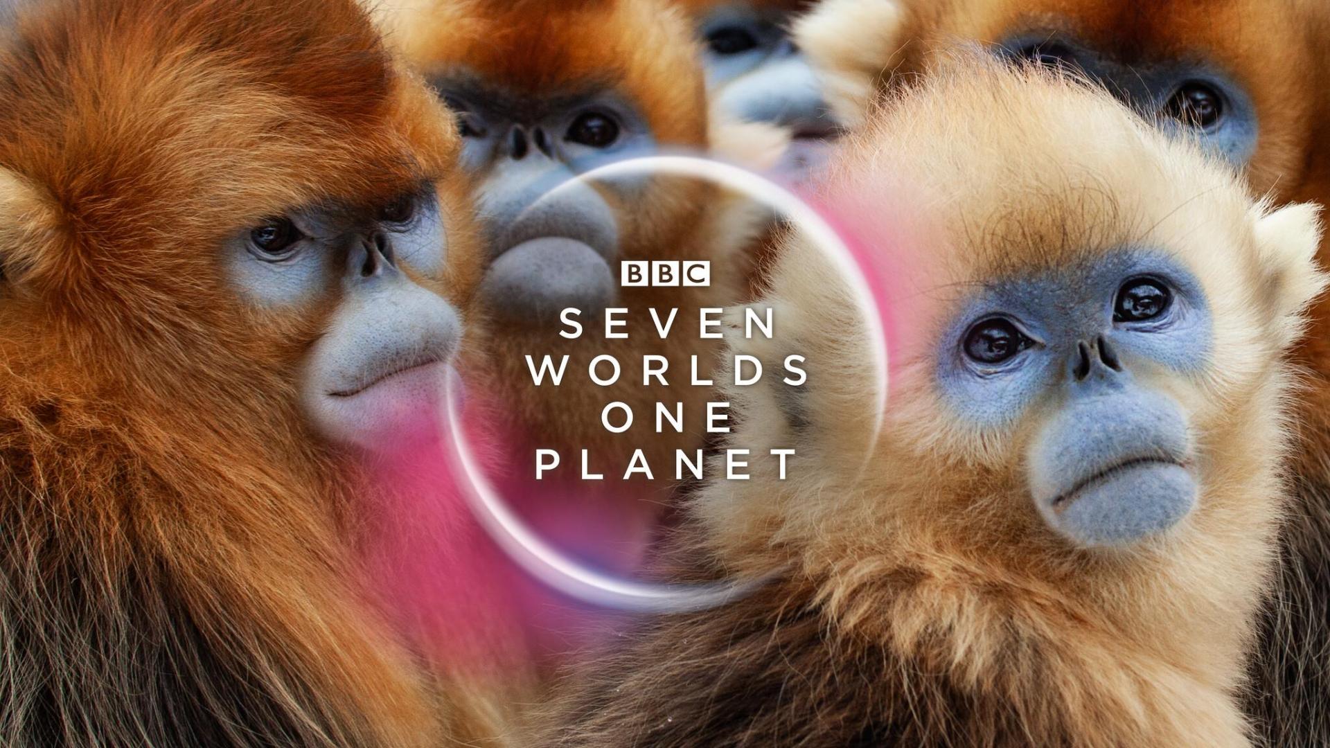 Seven Worlds One Planet